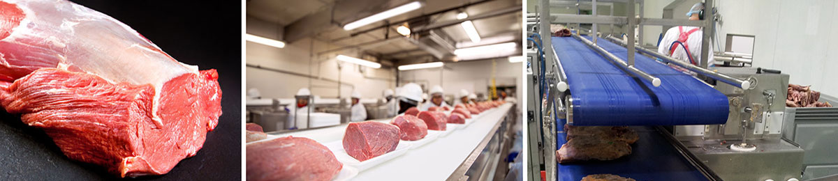 Bandas para Industria Cárnica