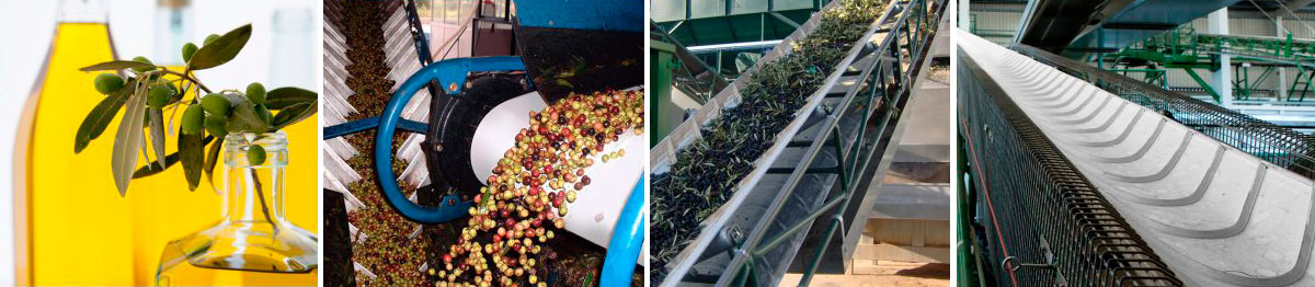 Bandas para Aceite de Oliva