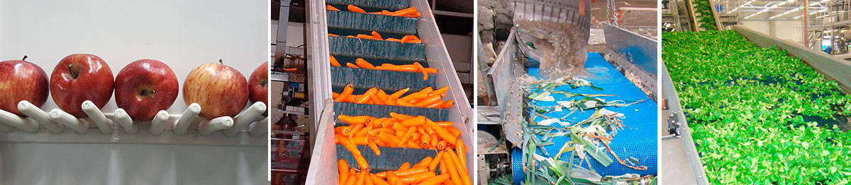 Bandas para Frutas y Verduras